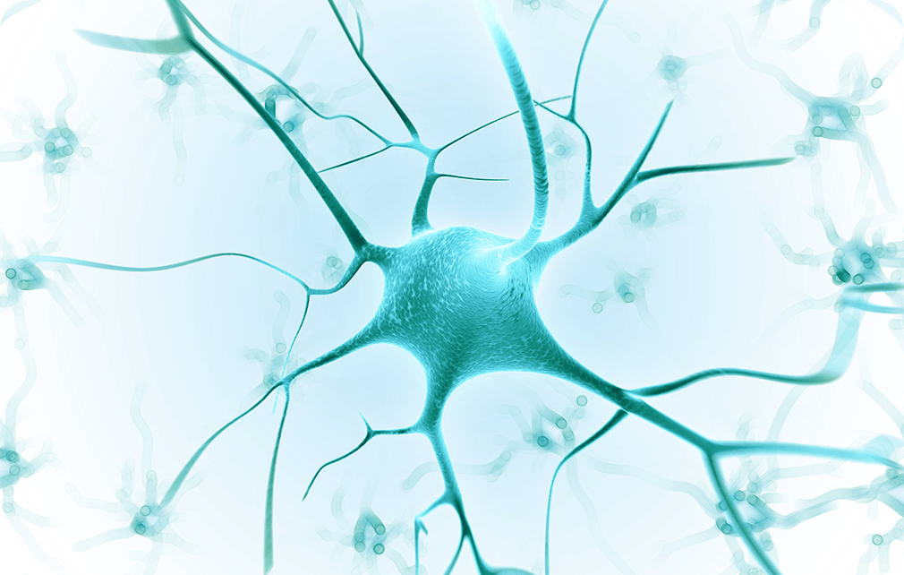第三型小脑萎缩症 Spinocerebellar ataxia type 3（SCA3）
