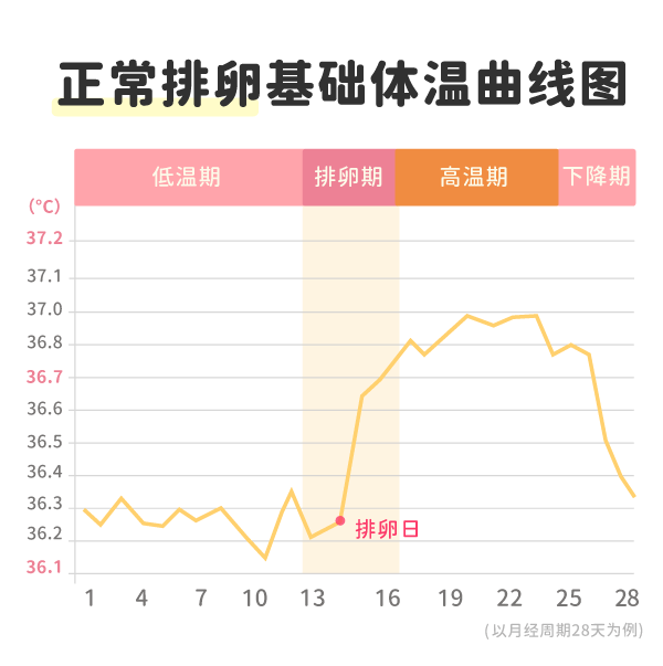 正常排卵基础体温曲线图 正常排卵基础体温曲线图