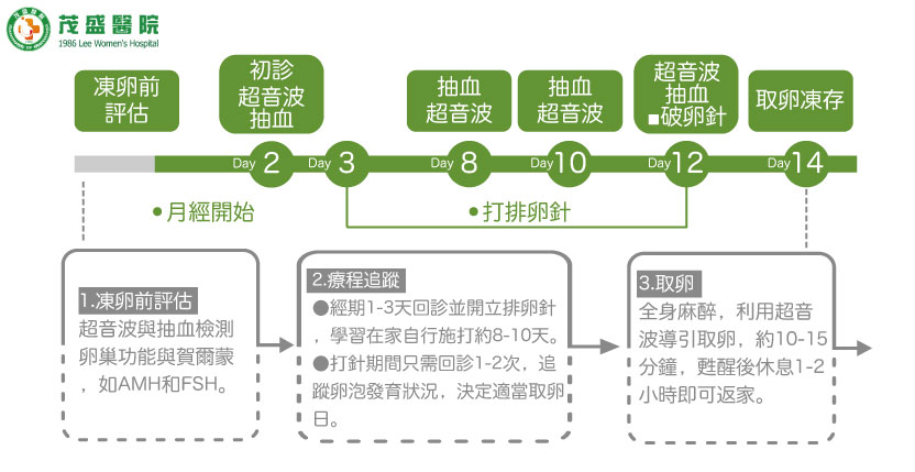茂盛医院生殖医学中心＿冻卵流程图