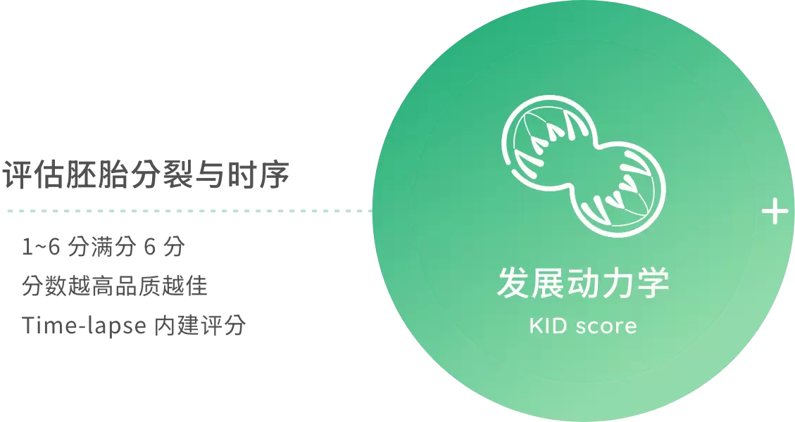 发展动力学