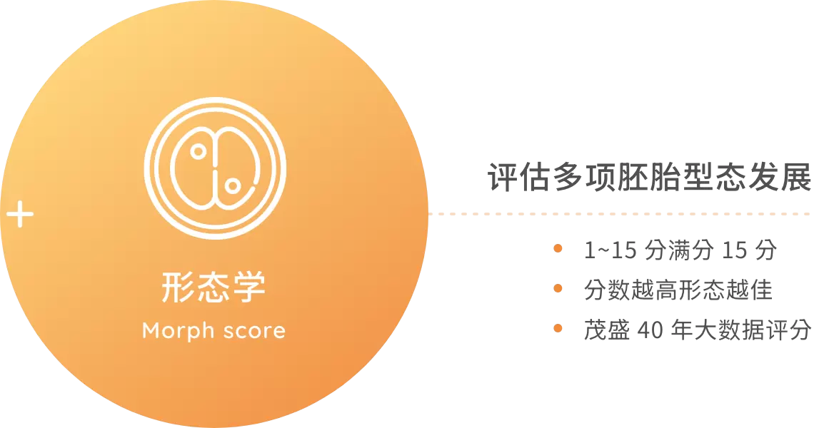 形态学